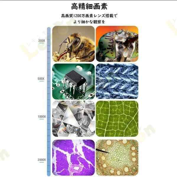 2000倍 高倍率デジタル顕微鏡 レンズ2種 電子回路 微生物 考古研究