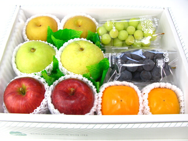 果物フルーツセット　プレゼントギフト　お供え　お見舞い　 水果　fruit 水菓子　fruits kudamono【お供え】 【お見舞い】（北海道、沖縄は送料1000円加算させていただきます。）の通販は