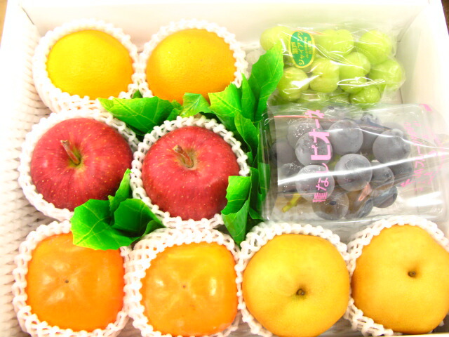 果物フルーツセット　プレゼントギフト　お供え　お見舞い　 水果　fruit 水菓子　fruits kudamono【お供え】 【お見舞い】（北海道、沖縄は送料1000円加算させていただきます。）の通販は