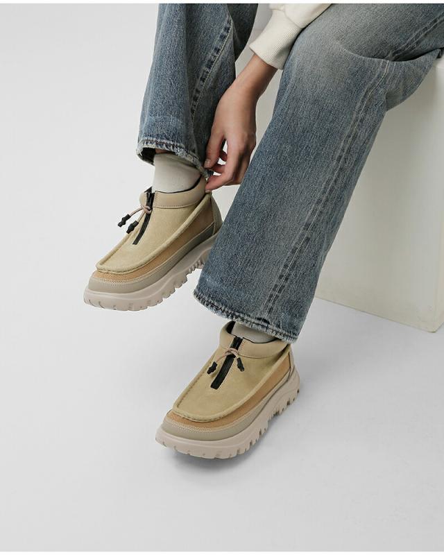 16053968_13