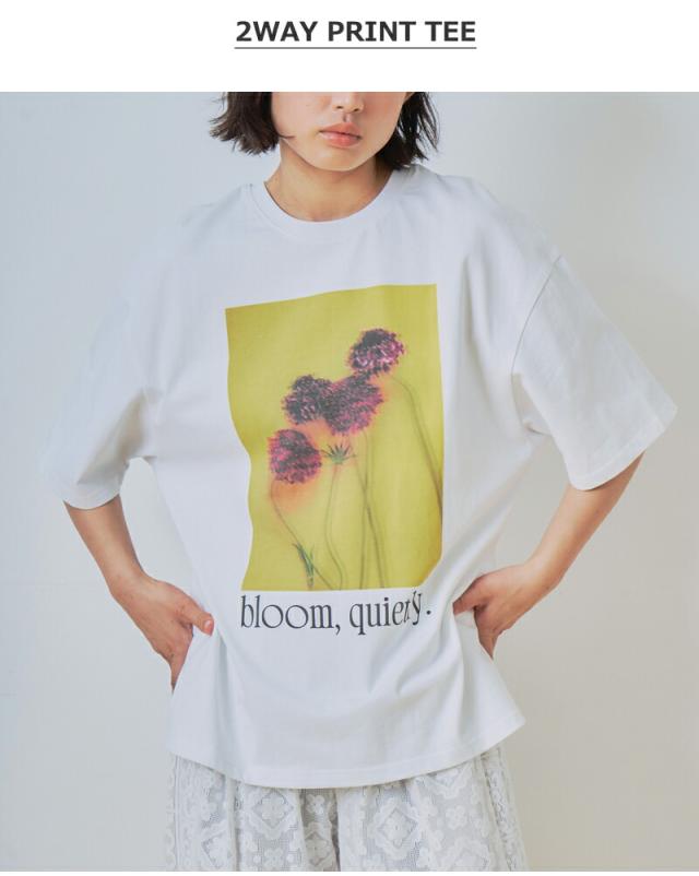 whyto ホワイト コットン 2way フォトプリント Tシャツ “2way print tee” wht26hcs4015 レディース 春夏_7
