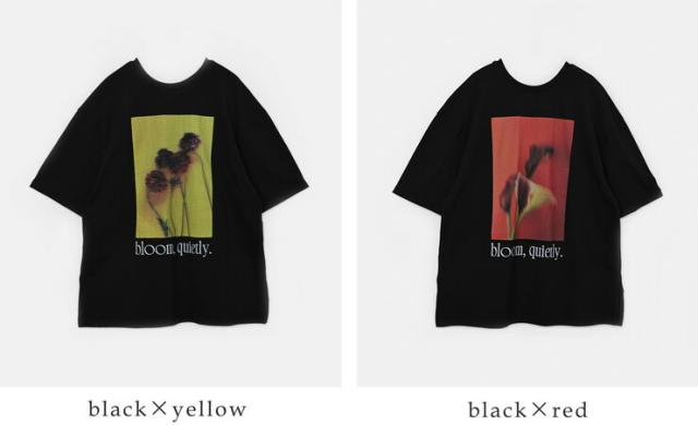 whyto ホワイト コットン 2way フォトプリント Tシャツ “2way print tee” wht26hcs4015 レディース 春夏_17