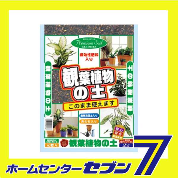 観葉植物ノ土 2l 大宮グリーンサービス ガーデニング 土 の通販はau Pay マーケット ホームセンターセブン Au Pay マーケット店