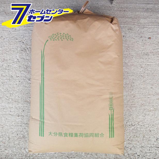 【玄米】ひのひかり ヒノヒカリ 玄米 30kg 令和7年産 大分県産 九州産