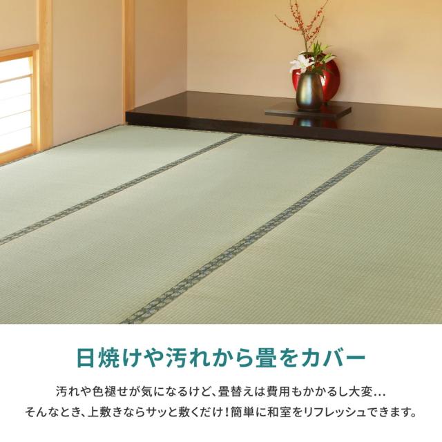 国産い草カーペット 天草 江戸間10帖 萩原 [日本製 天然い草 抗カビ 消臭 敷き詰め]_2