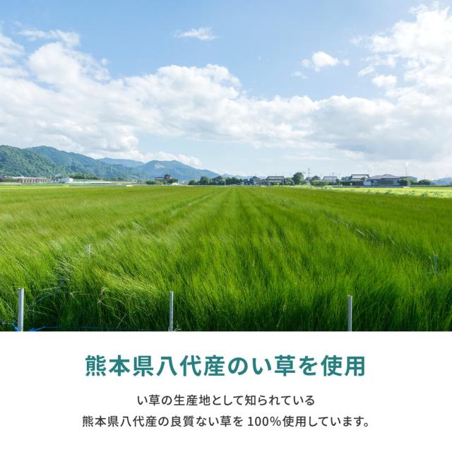 国産い草カーペット 天草 江戸間10帖 萩原 [日本製 天然い草 抗カビ 消臭 敷き詰め]_3