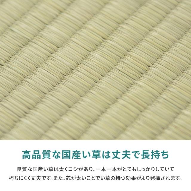 国産い草カーペット 天草 江戸間10帖 萩原 [日本製 天然い草 抗カビ 消臭 敷き詰め]_4