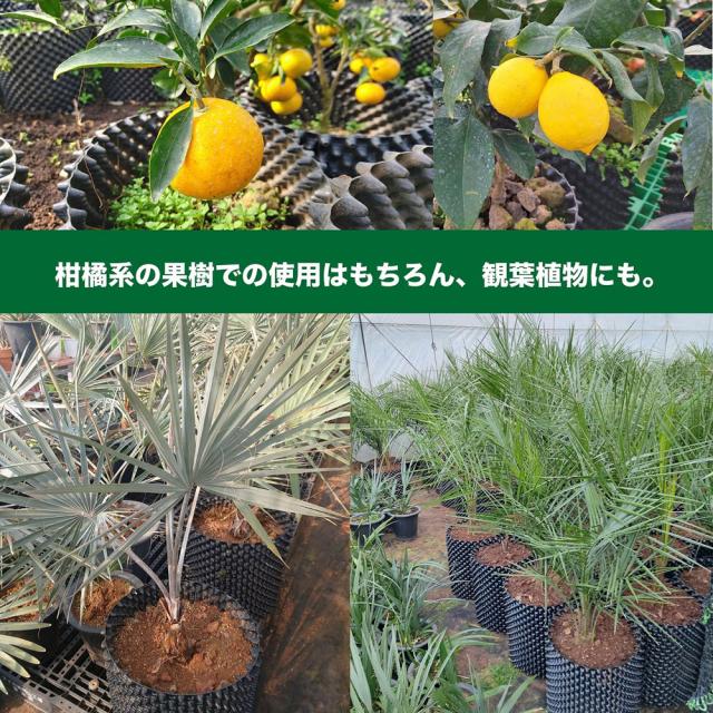 ルートプラスポット 60L まとめてお買い得 25個セット エアープルーニングコンテナ GS-AP400L-25 南榮工業 [まとめ買い 植木鉢 プランター 根巻き防止 空気剪定 UV加工 園芸 ]_7