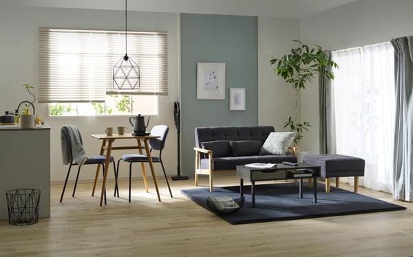 IRIS 充電式サイクロンスティッククリーナー アッシュ SCD-121P-HA