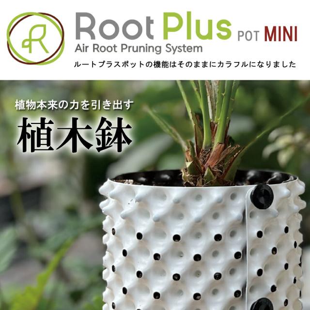 dcspd565さん専用 メリオドラルートプラスポット28リットル入り/ 766