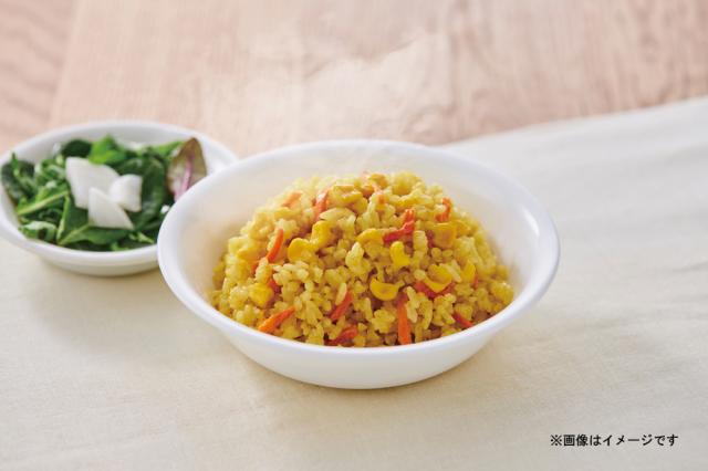 アルファ化米 α化米 ドライカレー 100g×50 （ケース販売） アイリスオーヤマ [α化米 非常食 保存食 備蓄食 レトルトごはん アウトドア 防災グッズ 防災用品 アルファー米 ご飯 ごはん ケース購入 まとめ買い]