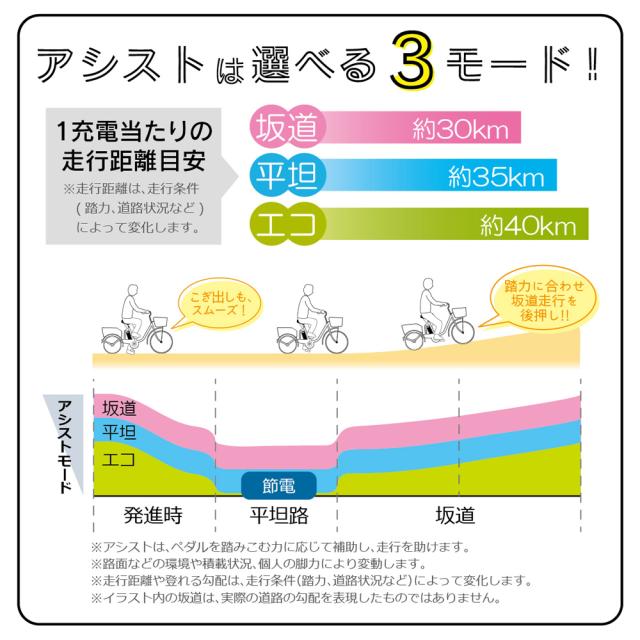 電動アシスト 折畳み自転車 20インチ ノーパンク FDB20EB マットブラック ACTIVEPLUS  MG-AP20EBN [電動自転車 ノーパンクタイヤ 折りたたみ自転車 充電式 バッテリー LEDライト 鍵付き 自転車本体 お客様組立品 mimugo  正規店 ミムゴ アクティブプラス  ミムゴ]_10