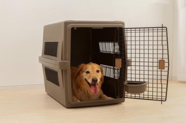 アイリスオーヤマ エアトラベルキャリー L 犬用ケージ クレート Amazon