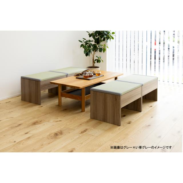 畳収納付きベンチ 60×43×39cm グレー×樹脂製グリーン [ダイニング