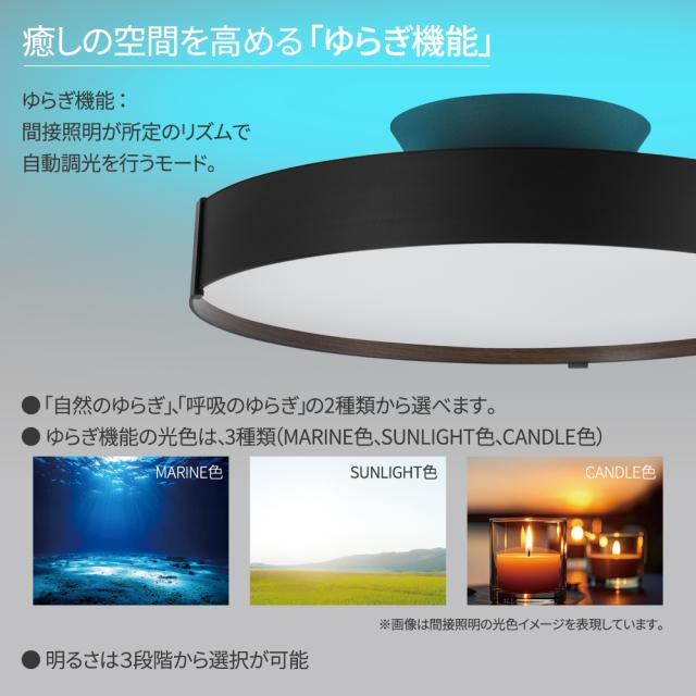間接照明機能付き LEDシーリングライト 調光調色 12畳 日本製 HLDC12A445KSG [リモコン付き 一体型 多機能 防虫 ルームライト 天井照明 ホタルクス]_2