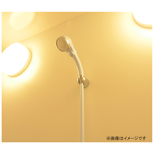 浄水シャワーホースセット ピュアラ 1.6m 日本製 GA-FH036 [カクダイ シャワーヘッド ストップボタン 160cm 塩素除去 節水 交換  GAONA]_3