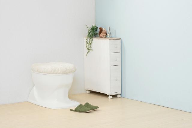 トイレラック (約)幅16×奥行50×高さ66cm MTR-6450WH 萩原 [家具 インテリア]