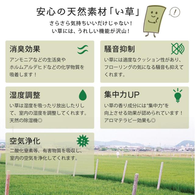 上敷 白馬(はくば) 本間8畳 サイズ382×382cm 萩原 [い草100％ 抗