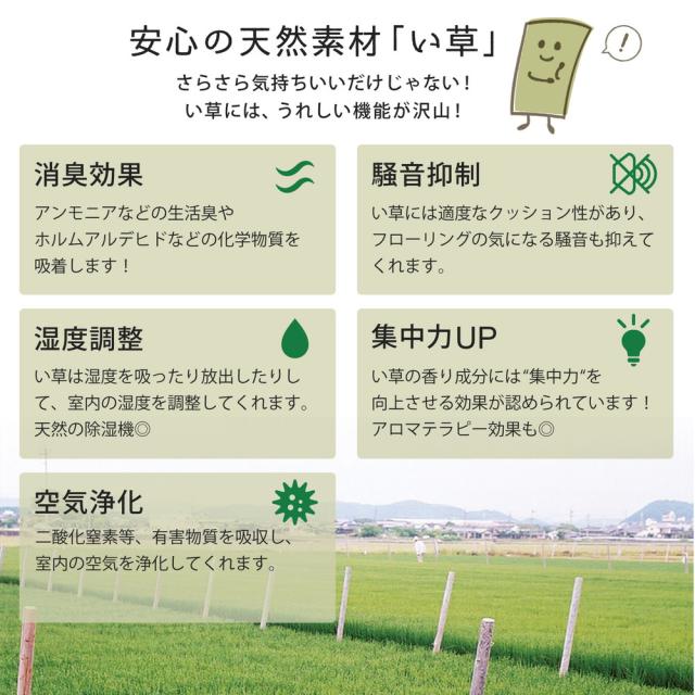 国産上敷 琥珀(こはく) 江戸間10帖 サイズ352×440cm 萩原 [い草100％ 抗カビ 消臭]_4