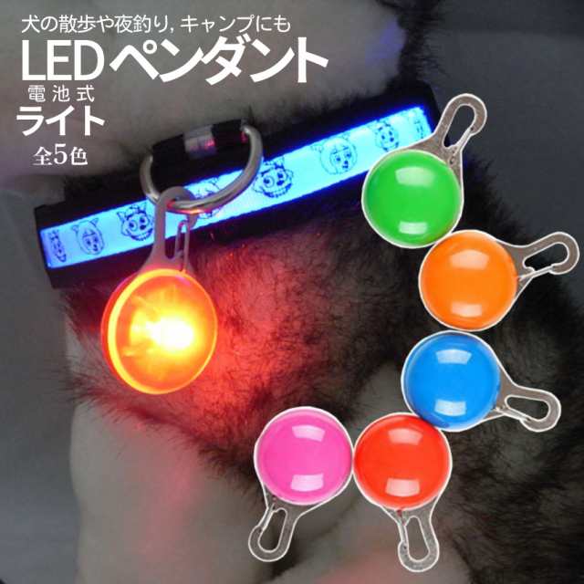 キーホルダー LED ライト 光る 5色 キャンディライト 電池式 散歩 ペット チャーム 懐中電灯 鍵 カラビナ 犬 猫 首輪 かわいい キャンプ  の通販はau PAY マーケット SHOPパルワン au PAY マーケット－通販サイト