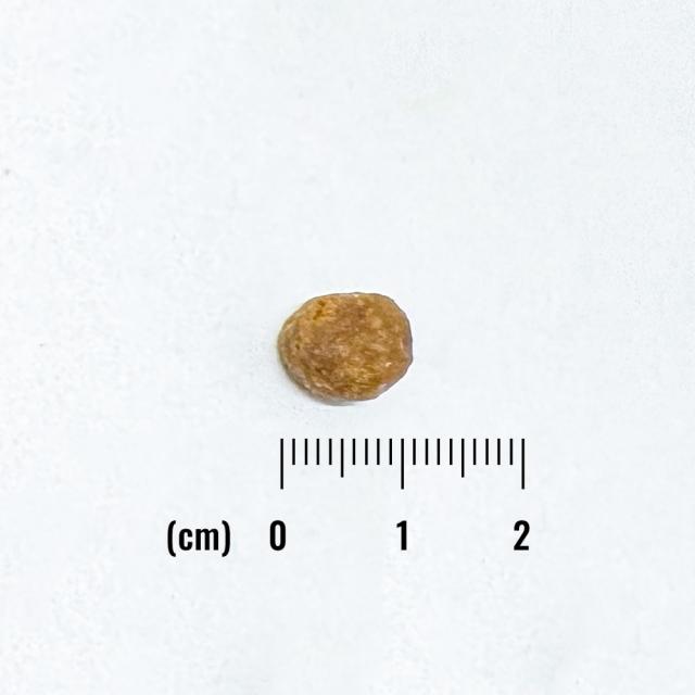 ナチュラルバランス LID 成猫用 サーモン&グリーンピースレシピ 1.8kg 正規品 総合栄養食 成猫期用 キャットフード ペットフード Natural Balance 送料無料 キャットフード・おやつ・ドリンク・サプリメント