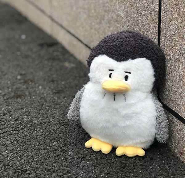 もっちりクッション ペンギン ぬいぐるみ クッション ペンギン