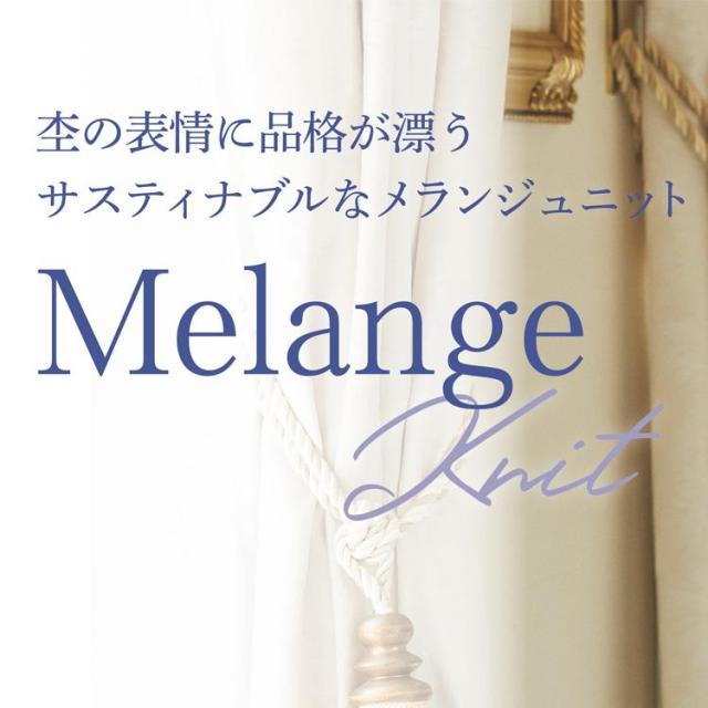 MIKATA レディース ベスト ストレッチ オールシーズン オフィス 無地