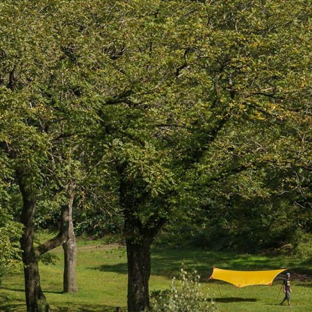 MSR エムエスアール ランデブー サンシールド 200 ウィング イエロー ランデブーサンシールド200ウィング MSR（エムエスアール