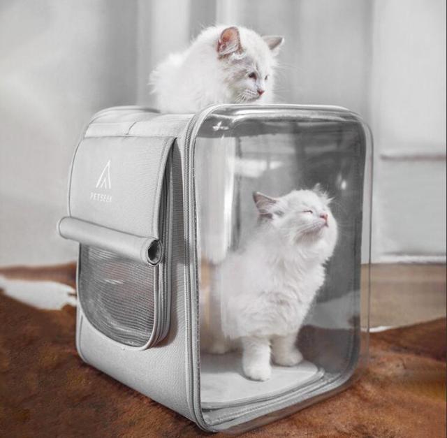 ペットバッグ バックパック ペットキャリーバッグ ペット リュックバッグ ショルダーバッグ 犬猫用キャリーケース おしゃれ 大容量の通販は