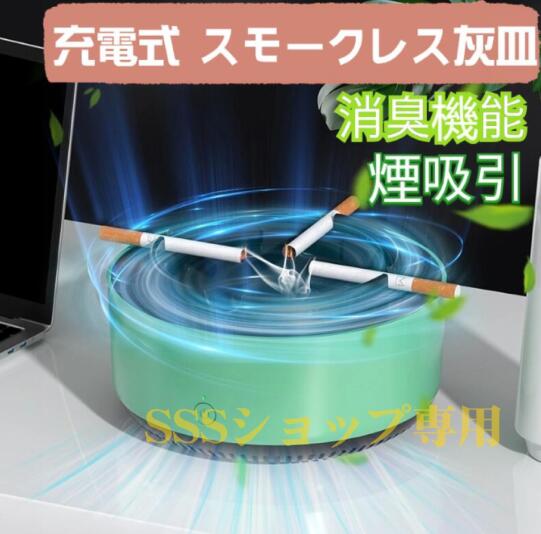 エルセラーン クリーンモイスト 卓上 加湿器 マイナスイオン 入浴後の