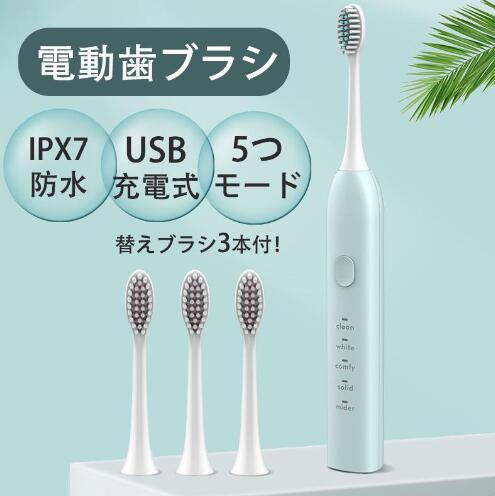 電動歯ブラシ 替えブラシが安い 充電式 電動音波歯ブラシ 音波式 お携帯ケース コスパがいい 高級感 携帯用 旅行用 音波歯ブラシ
