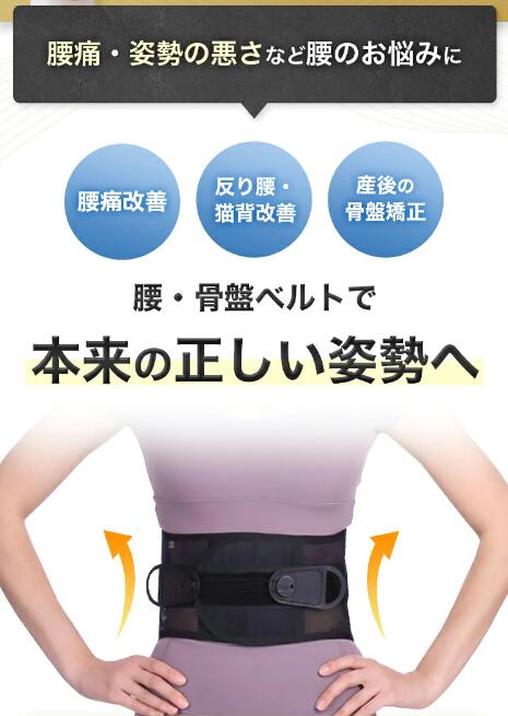 期間限定】ガードナーベルト 正規品 男女兼用 腰 サポーター
