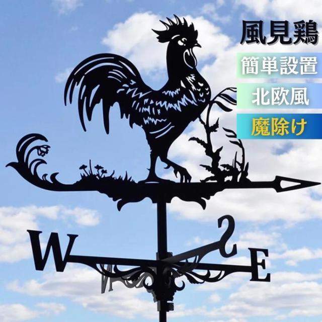 (未使用･未開封品)　目指せ甲子園!  つかたこレインボーロード 1 [DVD] f4u0baa 楽天市場】つかたこレインボーロードの通販