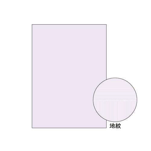 ヒサゴＡ４　コピー判別用紙　両面大入りBP2110Z　ご注文合計金額900円以上送料無料発送