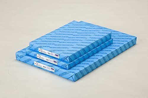 ゴークラ雪だるま画学紙　４切　＃１６５　１００枚Y-1654　ご注文合計金額900円以上送料無料発送