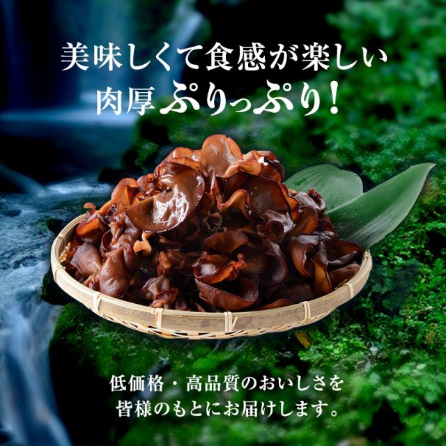 中古】 白牡丹 猪股佳子歌集/ながらみ書房/猪股佳子（歌人）（水栓 KVK  