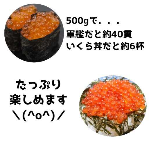 北海道産】いくら醤油漬け 500ｇパック 秋鮭使用 いくら 鮭イクラ ...