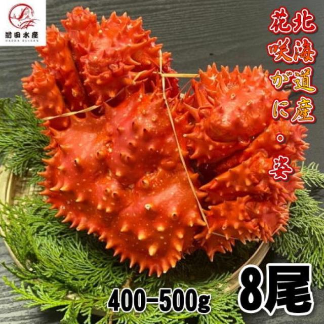 【訳あり】花咲がに　8尾（約400−500ｇサイズ）　ボイル　北海道産　花咲ガニ　花咲きがに　蟹　かに　母の日　父の日　お中元　お歳暮　