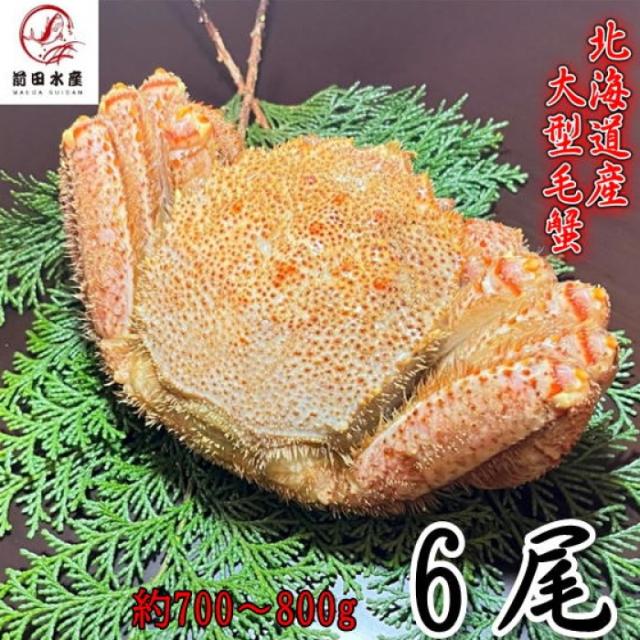 【母の日ギフト】大型毛蟹　6尾（700-800ｇサイズ）　北海道産　ボイル　付け足　一部訳あり　冷凍　お中元　お歳暮　母の日　父の日　フードロス　毛蟹　毛ガニ　けがに