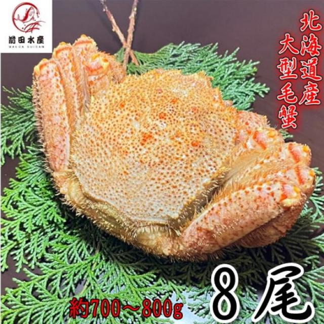 【母の日ギフト】大型毛蟹　8尾（700-800ｇサイズ）　北海道産　ボイル　付け足　一部訳あり　冷凍　お中元　お歳暮　母の日　父の日　フードロス　毛蟹　毛ガニ　けがに
