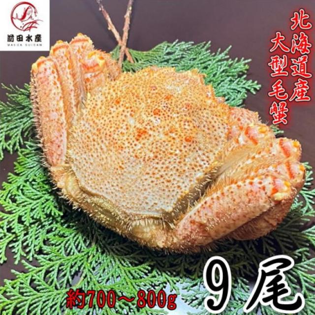 【母の日ギフト】大型毛蟹　9尾（700-800ｇサイズ）　北海道産　ボイル　付け足　一部訳あり　冷凍　お中元　お歳暮　母の日　父の日　フードロス　毛蟹　毛ガニ　けがに