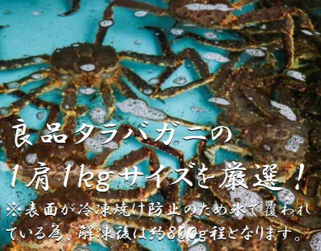 ボイル　函館前田水産　PAY　PAY　au　冷凍　ロシア産もしくは北海道産　マーケット　アブラガニやイバラの通販はau　マーケット－通販サイト　北海道直送】カニの王様！タラバガニの肩脚　5肩（1肩約1ｋｇサイズ）