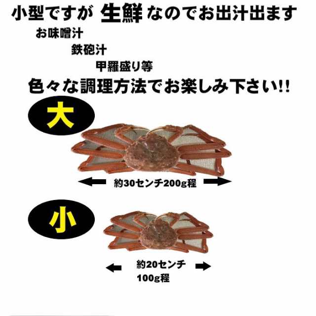 2ｋｇ（約150〜250ｇサイズ）　PAY　ずわい蟹　足折れ・不足・甲羅割れ　北海道産】生オオズワイガニ　訳あり　マーケット　ズワの通販はau　au　小型　おおずわいがに　函館前田水産　PAY　マーケット－通販サイト