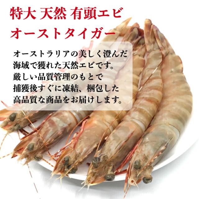 オマケ付き 天然有頭エビ オーストタイガー 1 5kg 約40尾 送料無料 えび 海老 冷凍エビ 頭付き エビ エビフライ おせちエビ 天然海老の通販はau Pay マーケット 西京漬け 海産物 いしもと