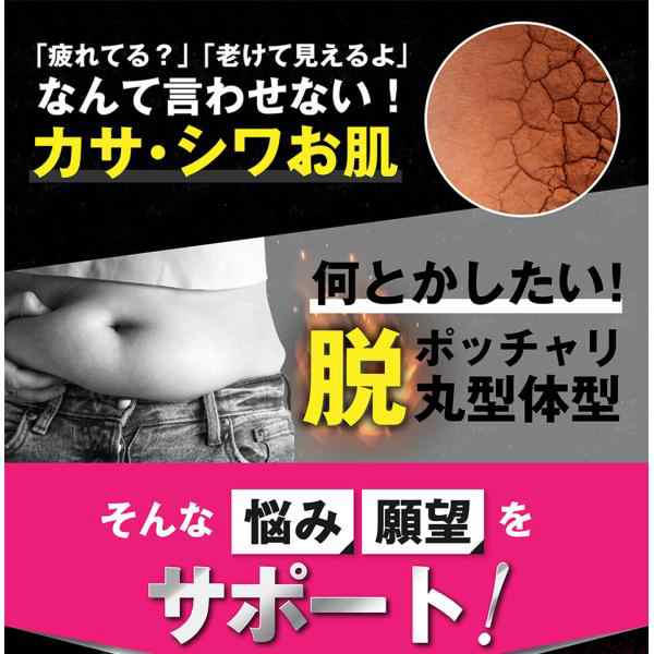 サプリメント ダイエット ビューティー HMB サプリ 女性 引き締め 筋トレ カルニチン プロテオグリカン BCAA 日本製 約3ヶ月分の通販はau  PAY マーケット - ミナトJAPAN au PAY マーケット店 | au PAY マーケット－通販サイト