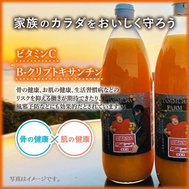 温州みかんジュース 720ml ×10本 - ソフトドリンク