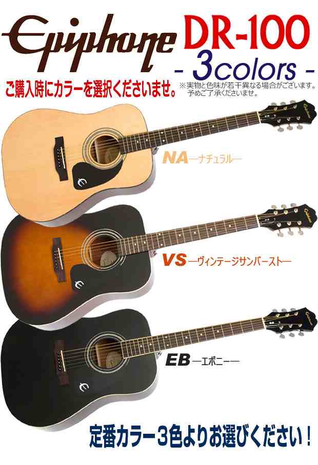 Epiphone アコースティックギター 純正ソフトケース ピック付き-