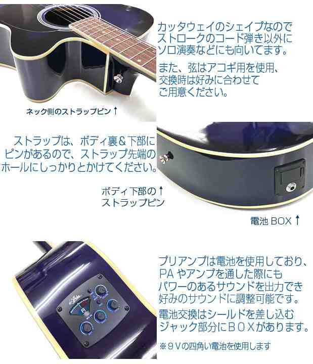 【高品質2024】Aria W100 アコースティックギター【新品弦交換・メンテナンス済み】 ギター