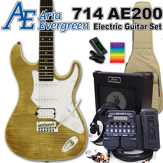 AriaProII 714 AE200 YG アリア・エヴァーグリーン エレキギター初心者 