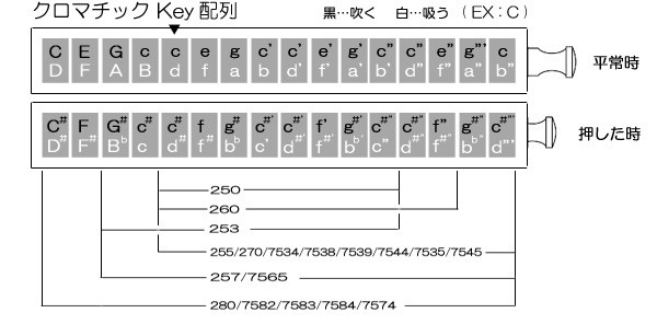 HOHNER ホーナー Super Chromonica270 270/48 C調 クロマチックハーモニカ